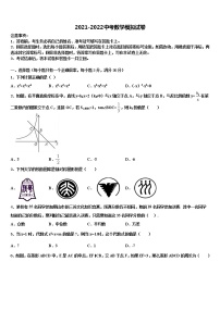 福建省泉州晋江市2021-2022学年中考押题数学预测卷含解析