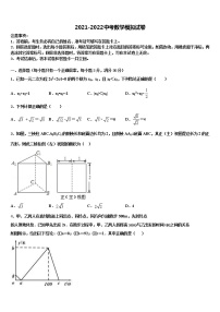 福建省泉州市南安市2022年中考数学对点突破模拟试卷含解析