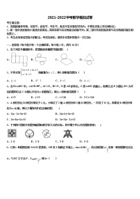 甘肃省张掖市城关初中重点中学2021-2022学年中考适应性考试数学试题含解析