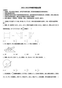 福建省仙游县2022年中考数学对点突破模拟试卷含解析