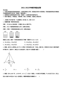 广东省汕尾市市级名校2021-2022学年中考数学模试卷含解析