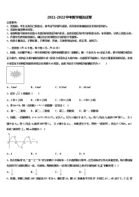 广东省汕头潮阳区五校联考2022年中考数学适应性模拟试题含解析