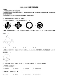 广东省茂名市十校联考2021-2022学年中考数学模拟预测题含解析