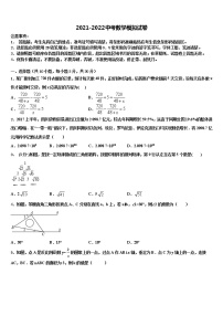 广东省广州市第五中学2022年中考数学对点突破模拟试卷含解析