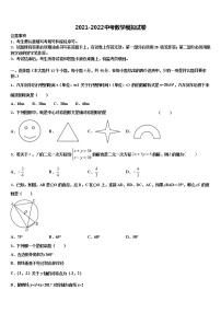 广东省华师附中新世界校2021-2022学年中考适应性考试数学试题含解析