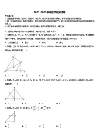 广东省中大附中达标名校2021-2022学年中考数学适应性模拟试题含解析