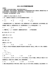 广西河池天峨县达标名校2021-2022学年中考数学最后冲刺浓缩精华卷含解析