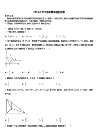 广西河池市巴马县2021-2022学年中考数学模拟精编试卷含解析