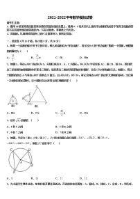 哈尔滨市松北区2022年中考数学全真模拟试题含解析