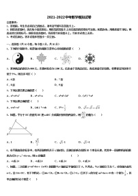 河北省邯郸市鸡泽县2021-2022学年中考数学对点突破模拟试卷含解析