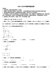 河南省南阳南召县联考2021-2022学年中考数学适应性模拟试题含解析