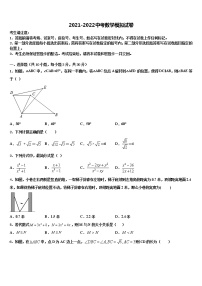 河南省平顶山市重点达标名校2022年中考试题猜想数学试卷含解析