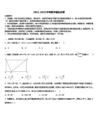 河南省鹿邑城郊乡阳光中学2022年中考数学对点突破模拟试卷含解析