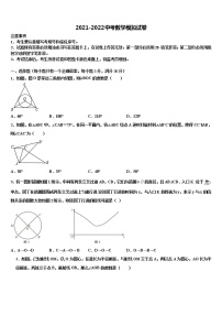 湖北恩施沐抚大峡谷2021-2022学年中考数学全真模拟试卷含解析