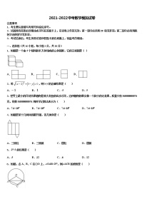 河南郑州2021-2022学年中考适应性考试数学试题含解析