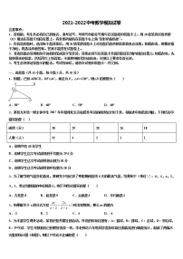 黑龙江省牡丹江管理局北斗星协会达标名校2021-2022学年中考数学最后冲刺模拟试卷含解析