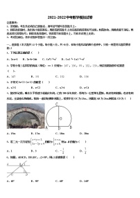 湖北省黄石市阳新一中卓越联盟重点名校2022年中考适应性考试数学试题含解析