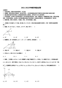 湖北省黄冈市季黄梅县重点达标名校2021-2022学年初中数学毕业考试模拟冲刺卷含解析