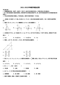 湖北省宣恩县2021-2022学年中考数学最后冲刺模拟试卷含解析