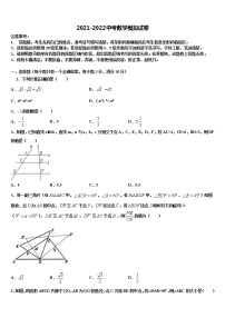 湖北省咸宁市2021-2022学年中考联考数学试卷含解析