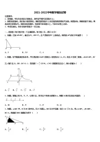 广东省湛江市雷州市2021-2022学年中考数学模拟试题含解析
