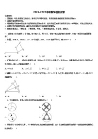 广东省湛江市徐闻县重点中学2022年中考数学最后冲刺浓缩精华卷含解析