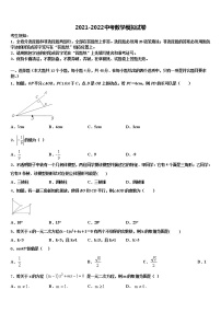 贵州省桐梓县市级名校2021-2022学年中考猜题数学试卷含解析