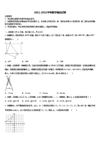 湖北省武汉新洲区五校联考2022年中考数学适应性模拟试题含解析