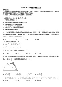 湖南省长沙市开福区周南实验中学2022年中考适应性考试数学试题含解析