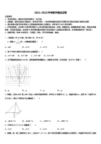 湖南省邵阳市新邵县达标名校2022年中考二模数学试题含解析