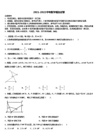 湖北省咸宁市马桥中学2021-2022学年中考数学考前最后一卷含解析