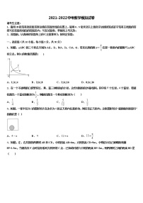 湖北省武汉市名校2021-2022学年中考数学适应性模拟试题含解析