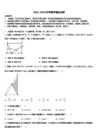 吉林省松原市前郭县达标名校2022年中考数学适应性模拟试题含解析