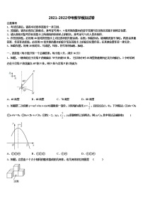 湖南长沙市青竹湖湘一外国语校2021-2022学年中考数学押题试卷含解析