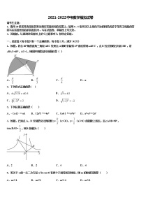 江苏省连云港市沙河中学2022年毕业升学考试模拟卷数学卷含解析