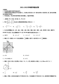 吉林省白城市洮北区三合乡中学2021-2022学年中考数学全真模拟试卷含解析