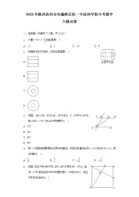 2022年陕西省西安市灞桥区铁一中滨河学校中考数学六模试卷（含解析）