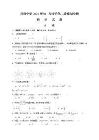 2022年四川省内江市威远县凤翔中学中考第二次模拟考试数学试题(word版含答案)