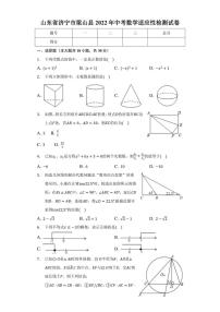 山东省济宁市梁山县2022年中考数学适应性检测试卷(含答案)