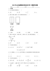 2022年山东省聊城市阳谷县中考一模数学试题(含答案)