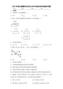 2022年湖北省襄阳市老河口市中考适应性考试数学试题(含答案)