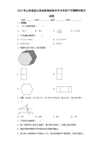 2022年江苏省连云港市新海初级中学九年级下学期期中数学试题(word版含答案)