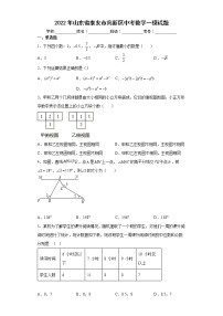 2022年山东省泰安市高新区中考数学一模试题(word版含答案)