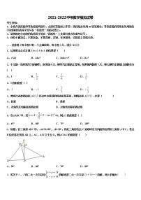 江苏省苏州吴中学区2022年中考数学仿真试卷含解析