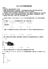 江苏省盐城市东台市第一教研片市级名校2022年中考适应性考试数学试题含解析