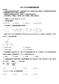 江苏省南通市海安县2021-2022学年中考数学猜题卷含解析