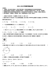 江苏省泰州市智堡实验校2021-2022学年中考数学模试卷含解析