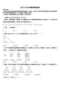 江苏省南京市江宁区重点达标名校2021-2022学年中考数学考试模拟冲刺卷含解析