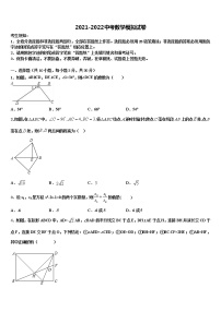 江西南昌市心远中学度重点中学2021-2022学年中考数学模试卷含解析