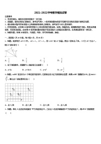 江西省吉安市永新县重点名校2022年中考数学适应性模拟试题含解析